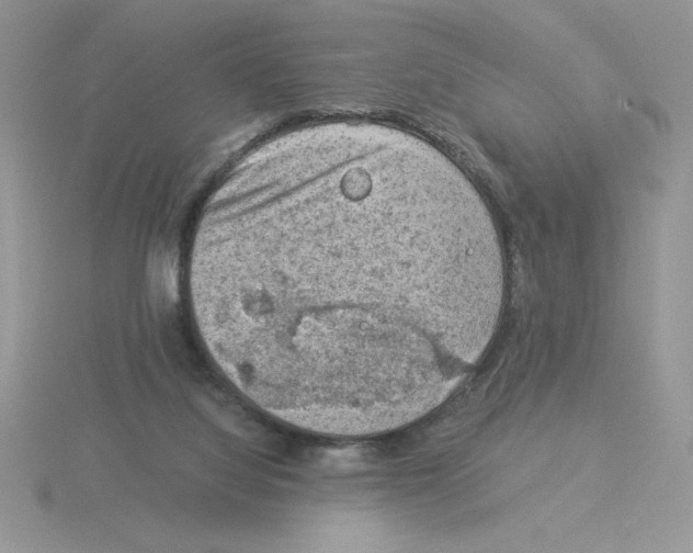 X0000115820068200912111300