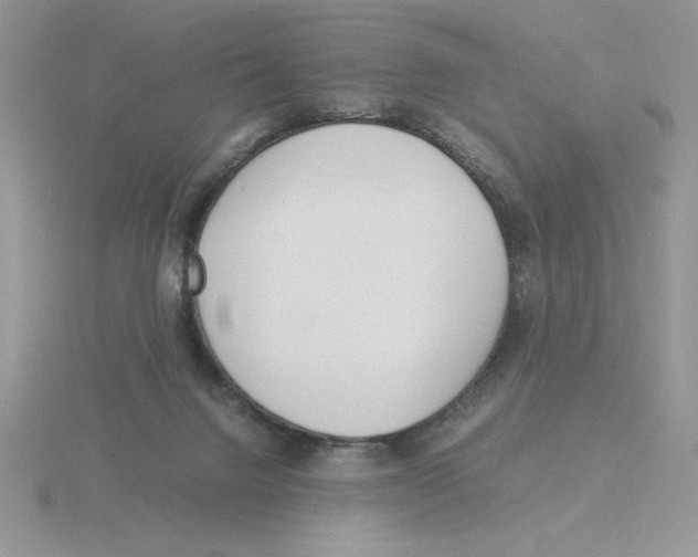 X0000115820072200912111300