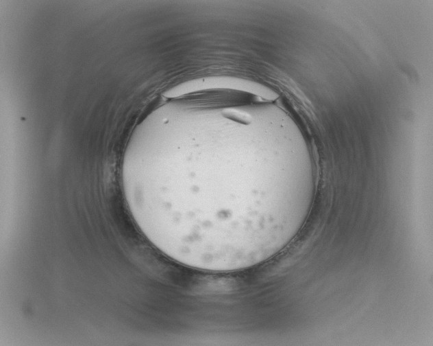 X0000115820073200912111300