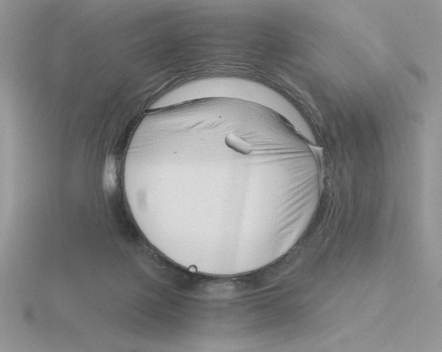 X0000115820075200912111300