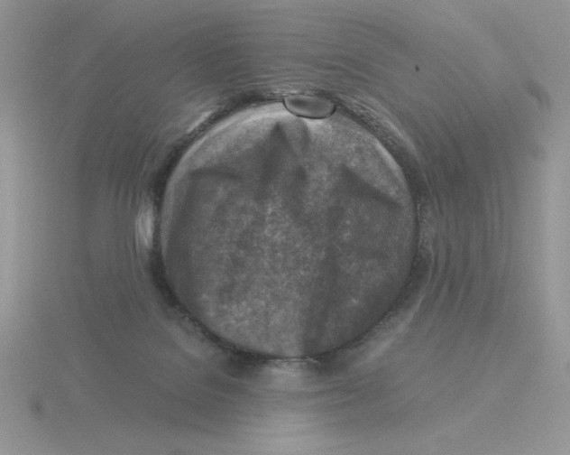 X0000115820076200912111300