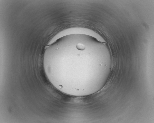 X0000115820078200912111300