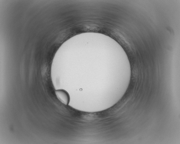 X0000115820079200912111300