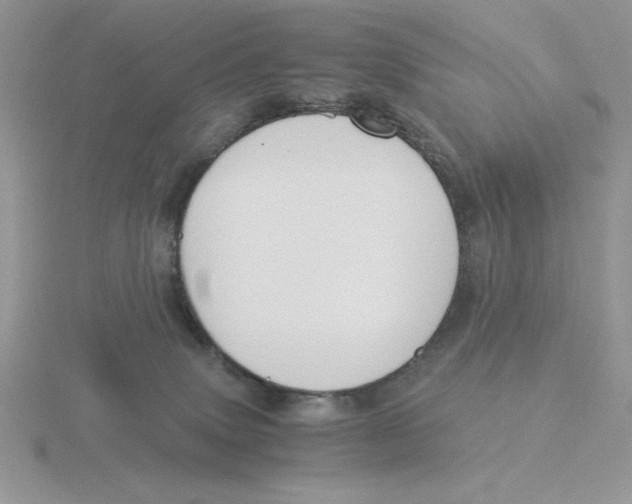 X0000115820083200912111300