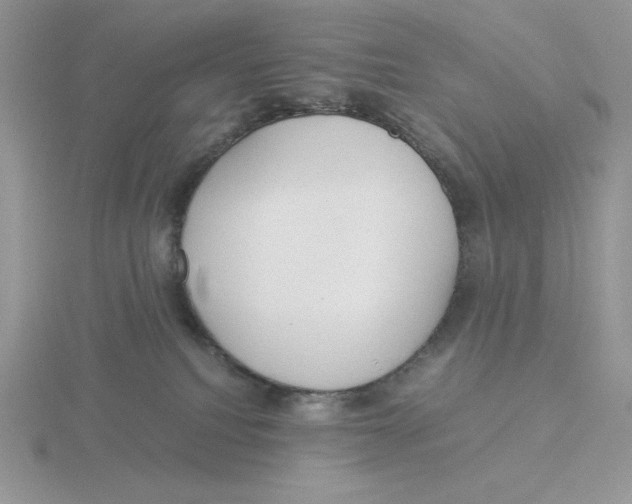 X0000115820088200912111300