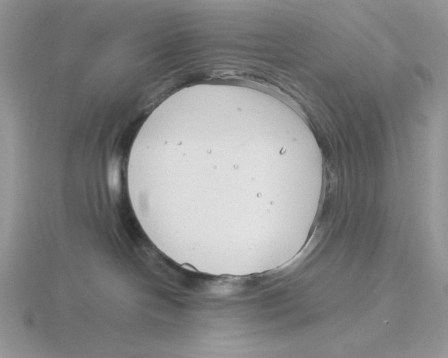 X0000115820094200912111300