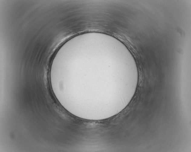 X0000115820098200912111300