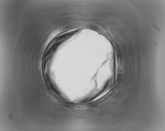 X0000115820099200912111300