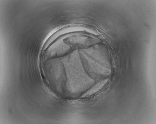 X0000115820100200912111300