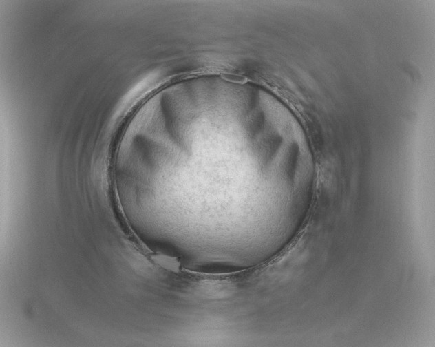 X0000115820101200912111300