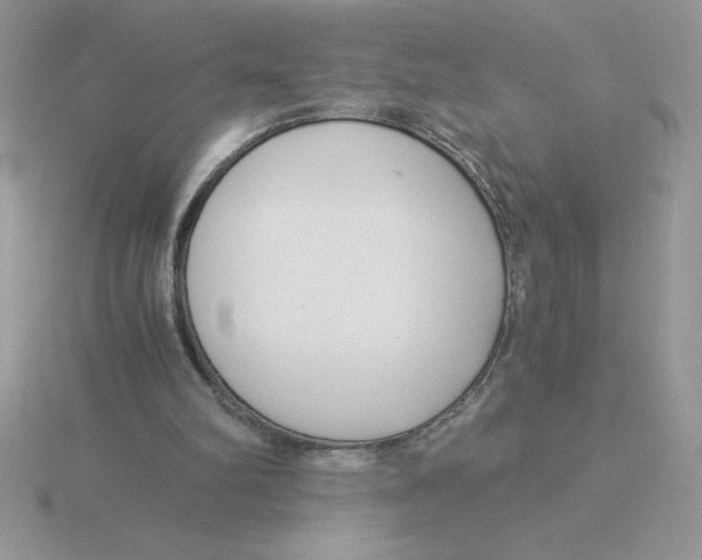 X0000115820102200912111300