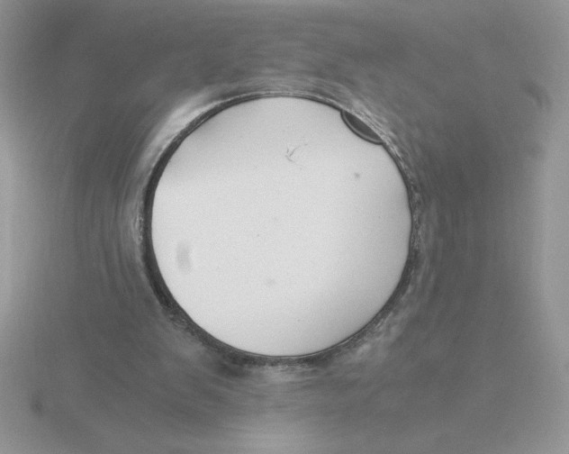 X0000115820103200912111300