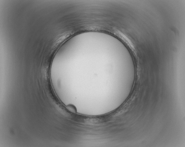 X0000115820105200912111300