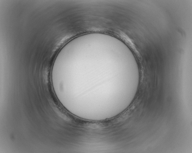 X0000115820106200912111300