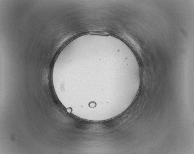 X0000115820107200912111300