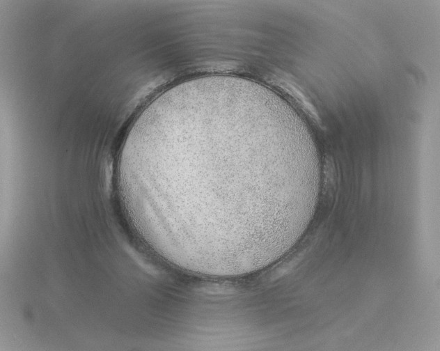 X0000115820110200912111300