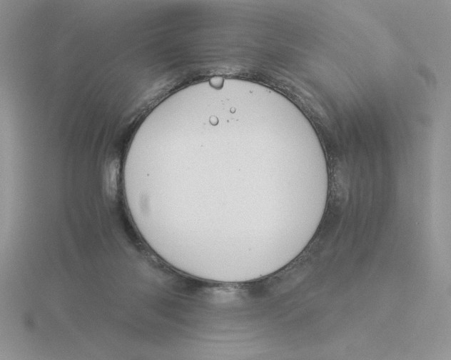 X0000115820118200912111300