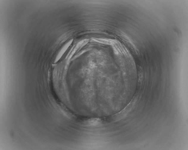 X0000115820124200912111259