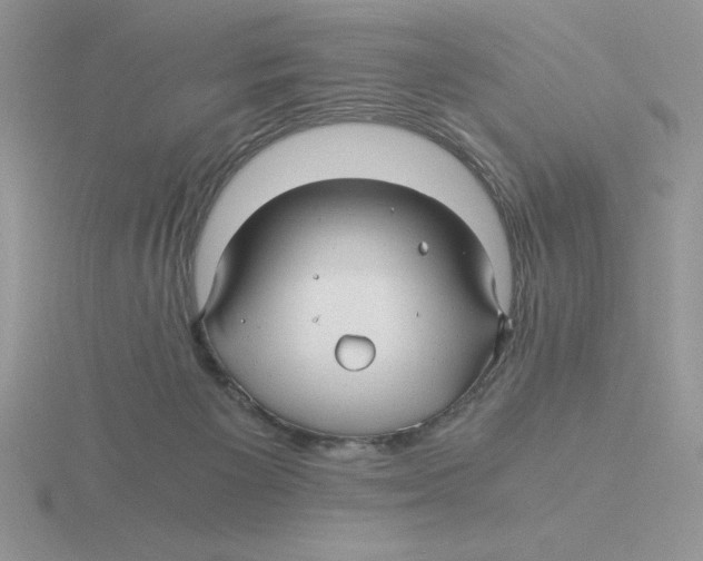 X0000115820125200912111259