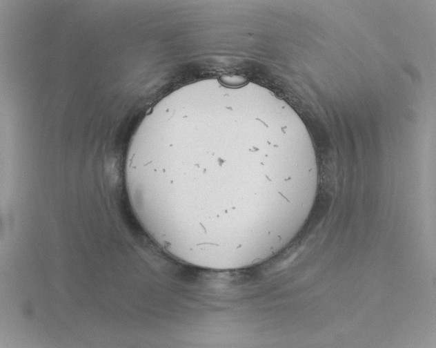 X0000115820131200912111259