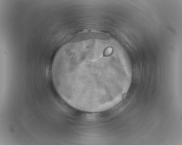 X0000115820134200912111259