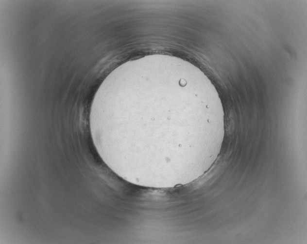 X0000115820140200912111259