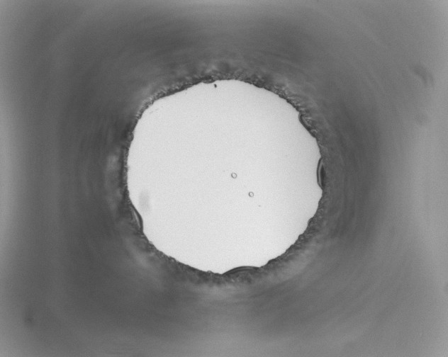 X0000115820144200912111259