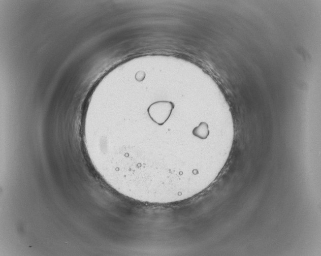 X0000115820146200912111258