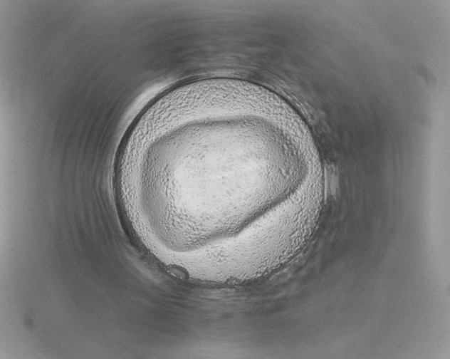 X0000115820147200912111258