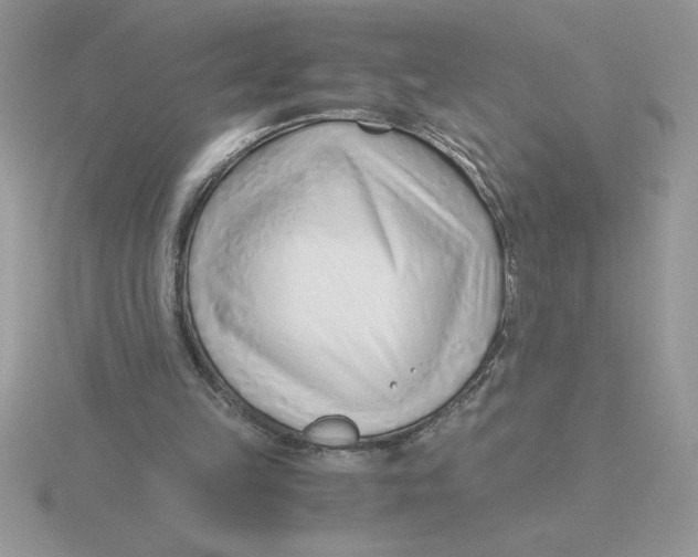 X0000115820149200912111259