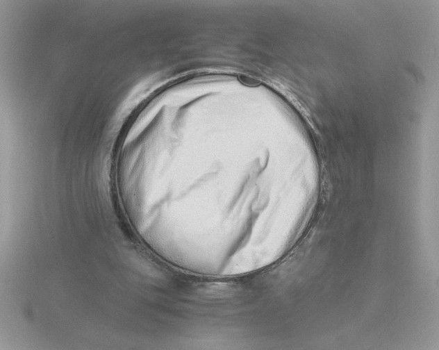 X0000115820151200912111259