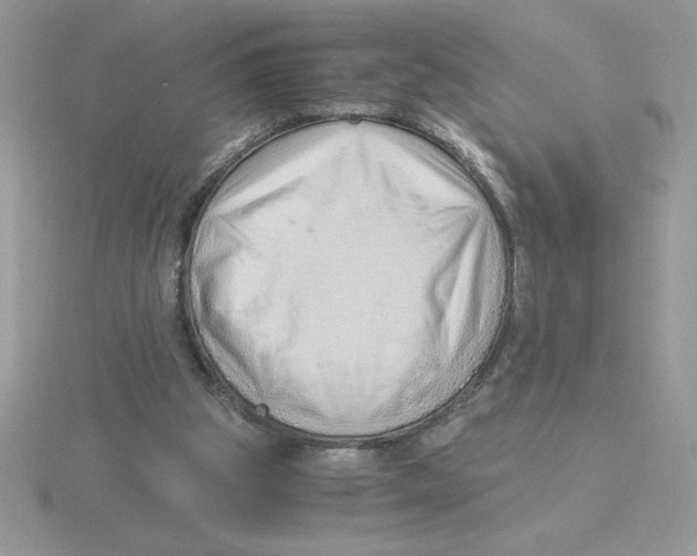 X0000115820153200912111259