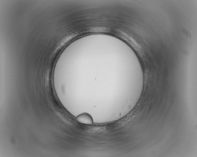 X0000115820155200912111259