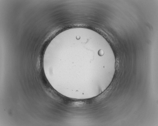 X0000115820158200912111259