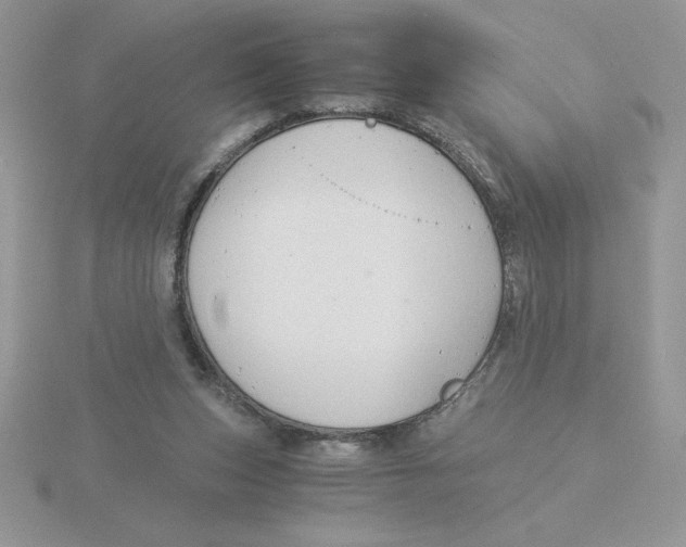 X0000115820159200912111259