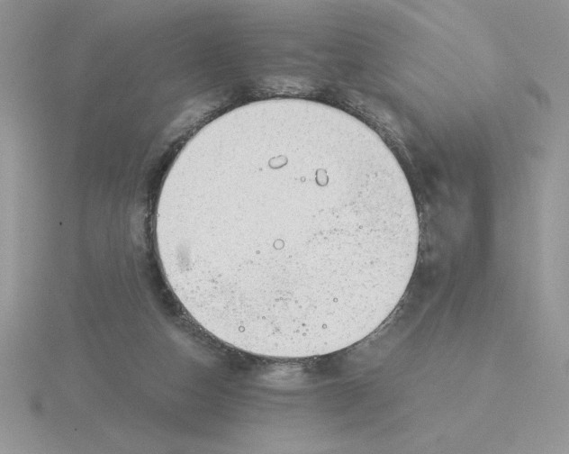 X0000115820162200912111259