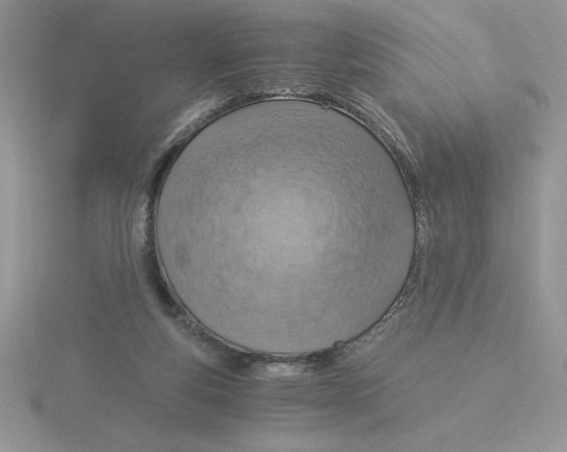 X0000115820163200912111259