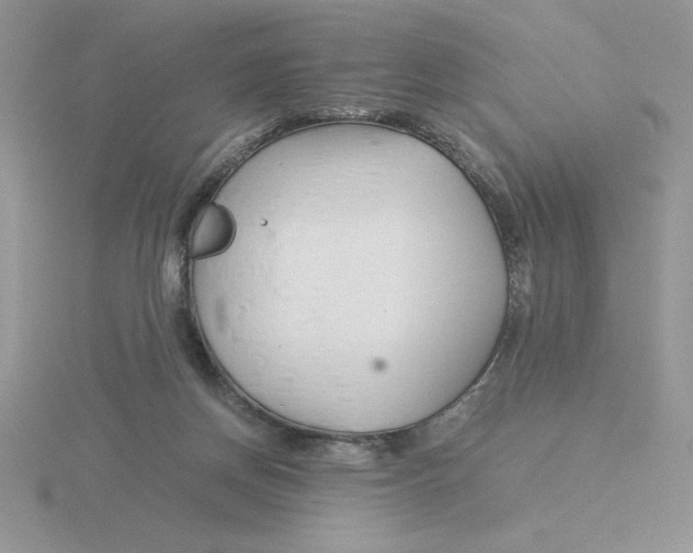 X0000115820166200912111259