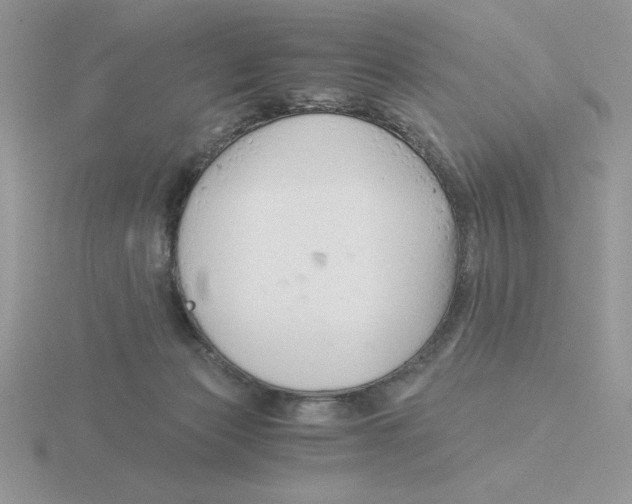 X0000115820173200912111259