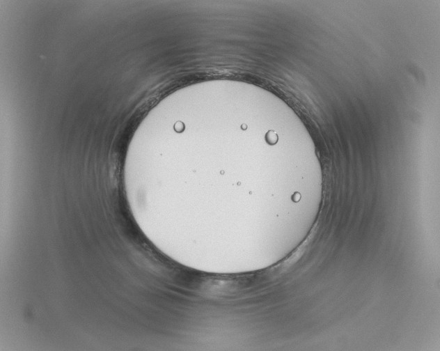 X0000115820174200912111259