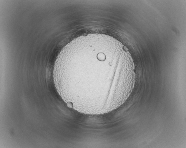 X0000115820177200912111259