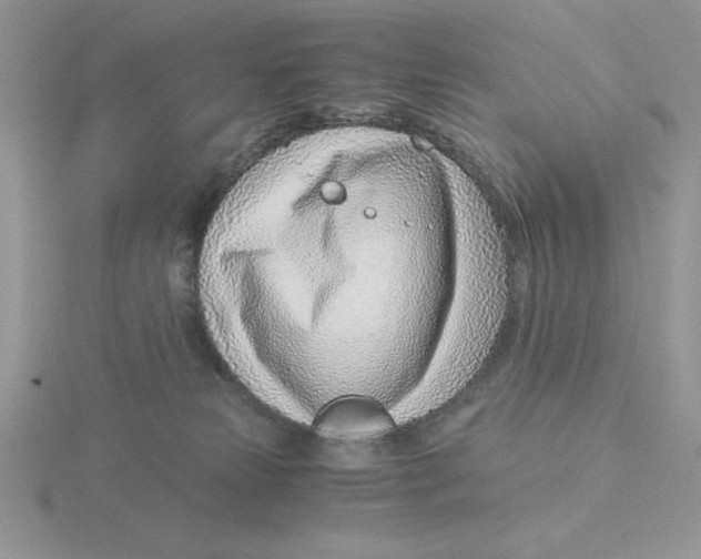 X0000115820181200912111259