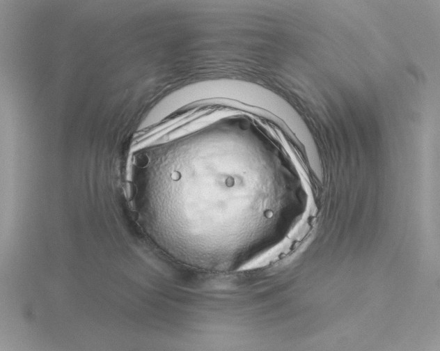 X0000115820182200912111259