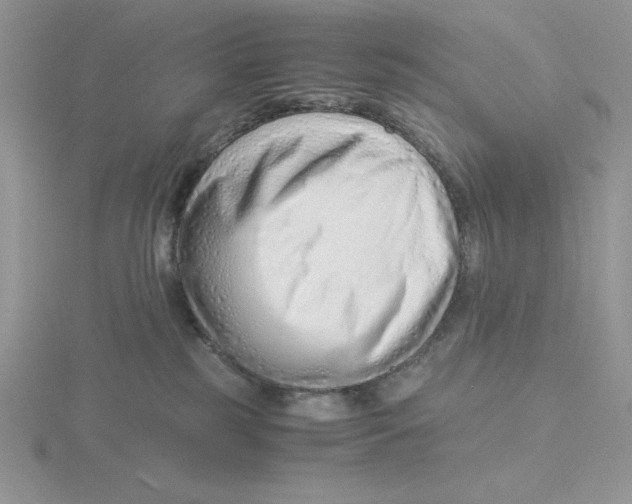 X0000115820185200912111259