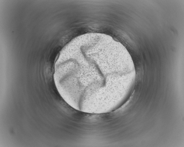 X0000115820186200912111259