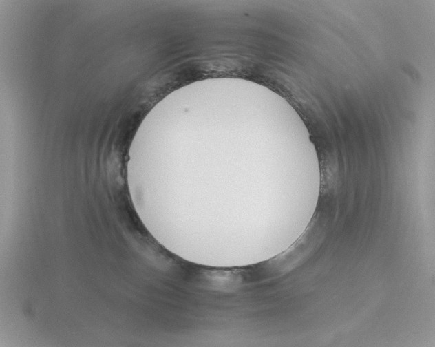 X0000115820187200912111259