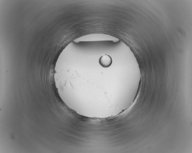 X0000115820190200912111259