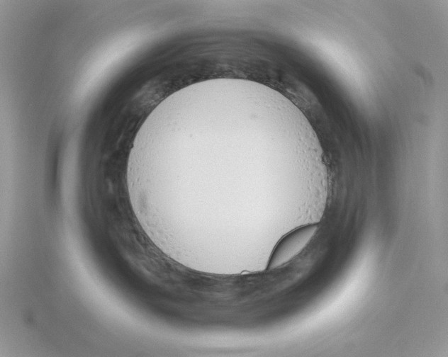 X0000115820191200912111259