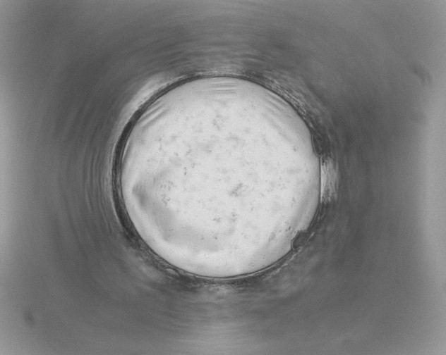 X0000115820195200912111258