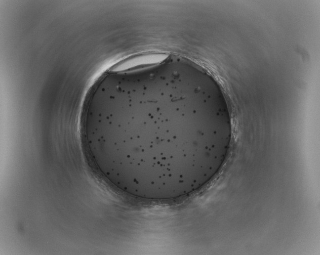 X0000115820196200912111258